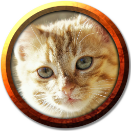 ./tokens/token_1 (4).png